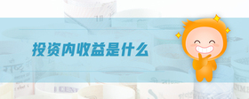 投資內(nèi)收益是什么