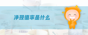凈現(xiàn)值率是什么