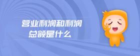 營業(yè)利潤和利潤總額是什么