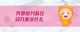 其他應(yīng)付款在貸方表示什么