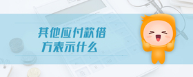 其他應(yīng)付款借方表示什么