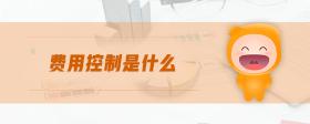 費用控制是什么