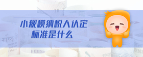小規(guī)模納稅人認定標準是什么