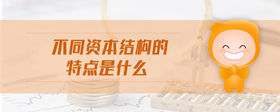 不同資本結(jié)構(gòu)的特點(diǎn)是什么