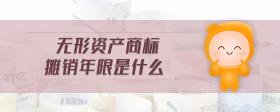 無形資產(chǎn)商標(biāo)攤銷年限是什么