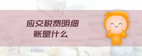 應(yīng)交稅費(fèi)明細(xì)賬是什么
