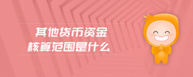 其他貨幣資金核算范圍是什么
