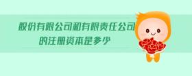 股份有限公司和有限責(zé)任公司的注冊(cè)資本是多少