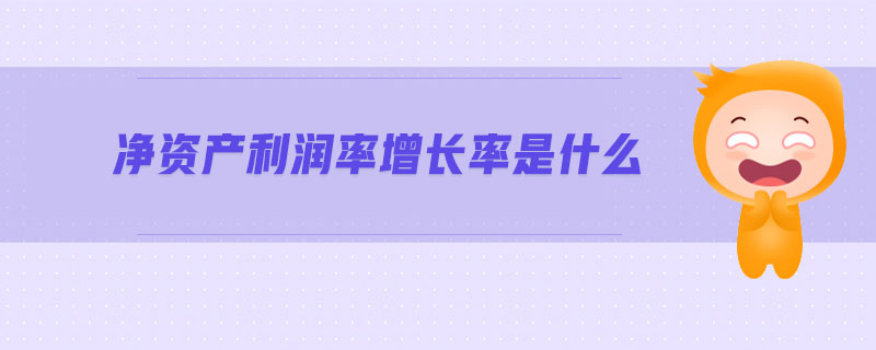 凈資產(chǎn)利潤(rùn)率增長(zhǎng)率是什么