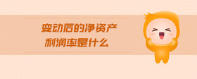 變動后的凈資產(chǎn)利潤率是什么