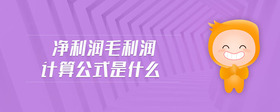 凈利潤(rùn)毛利潤(rùn)計(jì)算公式是什么