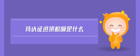 待認證進項稅額是什么