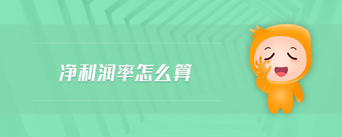 凈利潤(rùn)率怎么算