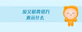應(yīng)交稅費(fèi)借方表示什么