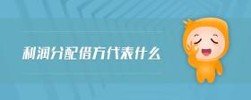 利潤(rùn)分配借方代表什么