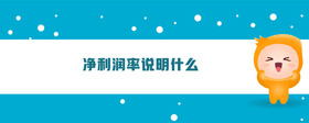 凈利潤率說明什么