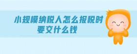 小規(guī)模納稅人怎么報(bào)稅時(shí)要交什么錢