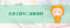 在建工程有二級明細嗎