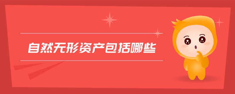 自然無形資產(chǎn)包括哪些