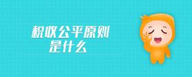 稅收公平原則是什么