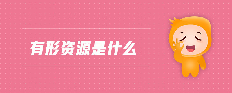 有形資源是什么