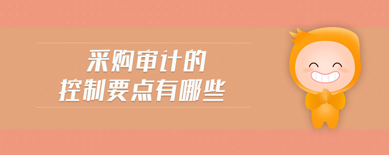 采購(gòu)審計(jì)的控制要點(diǎn)有哪些