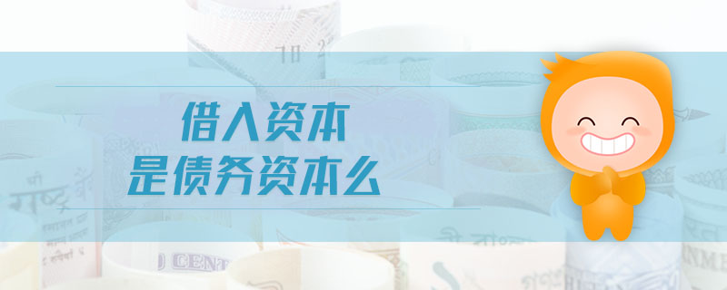 借入資本是債務(wù)資本么