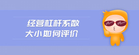 經(jīng)營杠桿系數(shù)大小如何評(píng)價(jià)
