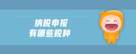 納稅申報有哪些稅種
