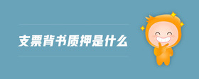 支票背書質(zhì)押是什么