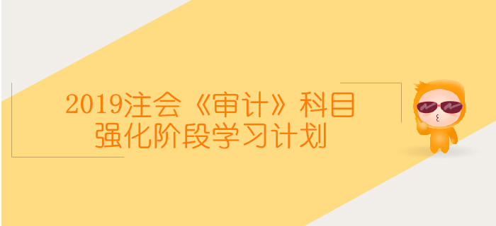 2019年注冊會計(jì)師《審計(jì)》科目強(qiáng)化階段學(xué)習(xí)計(jì)劃