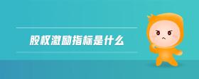 股權(quán)激勵(lì)指標(biāo)是什么