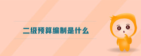 二級(jí)預(yù)算編制是什么
