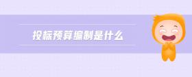 投標(biāo)預(yù)算編制是什么