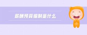 薪酬預(yù)算編制是什么
