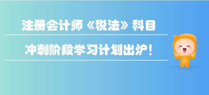 2019年注冊會計(jì)師《稅法》科目沖刺階段學(xué)習(xí)計(jì)劃