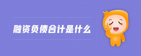 融資負(fù)債合計是什么