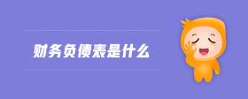 財(cái)務(wù)負(fù)債表是什么