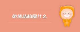 負(fù)債結(jié)構(gòu)是什么