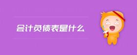 會計負債表是什么