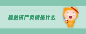 基金資產(chǎn)負債是什么