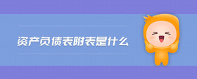 資產(chǎn)負(fù)債表附表是什么