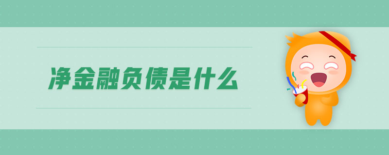 凈金融負(fù)債是什么