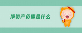 凈資產(chǎn)負(fù)債是什么