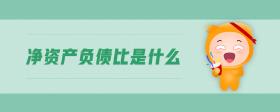 凈資產(chǎn)負(fù)債比是什么