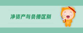 凈資產(chǎn)與負(fù)債區(qū)別