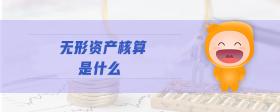 無形資產(chǎn)核算是什么