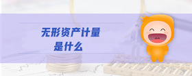 無形資產(chǎn)計(jì)量是什么