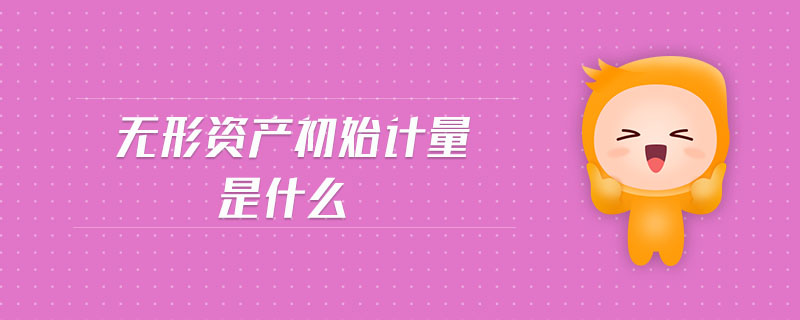 無形資產(chǎn)初始計(jì)量是什么 無形資產(chǎn)初始計(jì)量是什么