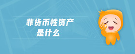 非貨幣性資產(chǎn)是什么